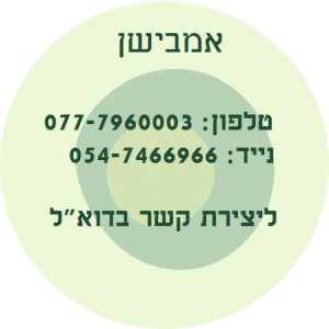 בית הספר לאימון אישי ו-NLP, אמבישן